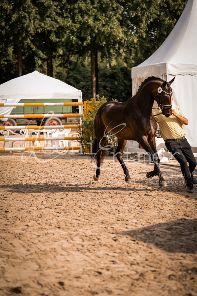 FrER00160 | Leoni Ertmer Photography - Realisiert mit Pictrs.com