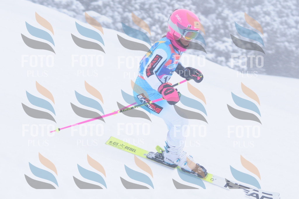 C1909 | holidayphoto