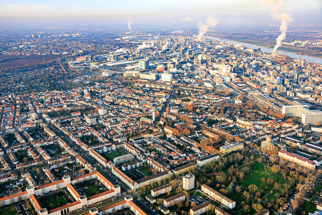 Luftbild: Stadtteilübersicht mit Alwin-Mittasch-Park im Ortsteil Friesenheim in Ludwigshafen im Bundesland Rheinland-Pfalz in Deutschland. Foto: IMG_152063.jpg vom 12.12.2025 durch Werner Riehm/FLY-FOTO.de