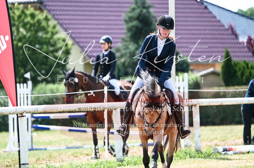 DSC_9323 | Pferde- und Turnierfotografie in Westsachsen. Pferdeportraits, Auftragszeichnungen und intuitive Kunst.