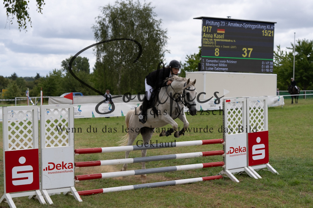 A7V05563 | Pferdefotograf