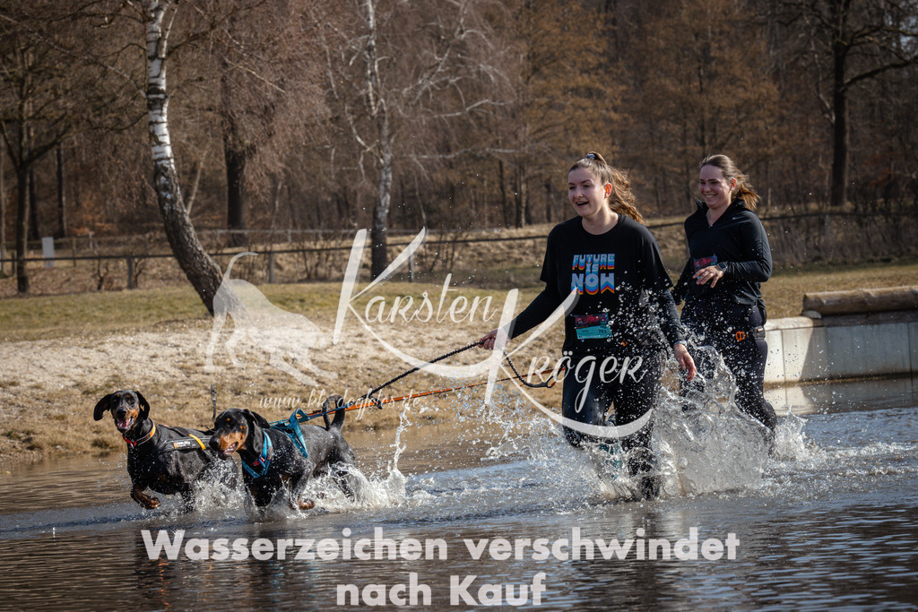 1153_ZZ96989 | kk-dogfotos