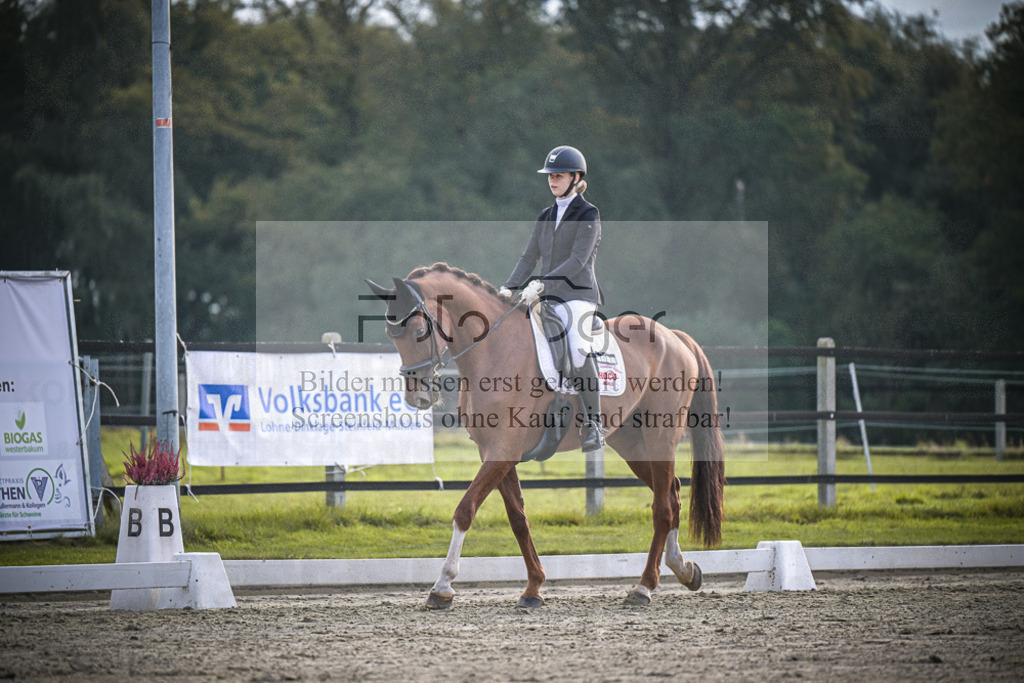 DOS_3137 | Entdecke hochwertige Reitturnierfotos von Foto Oger. Professionell, emotional und authentisch – jetzt Lieblingsmomente im Shop bestellen.Deutschlandweite Turnierfotografie. - Realisiert mit Pictrs.com