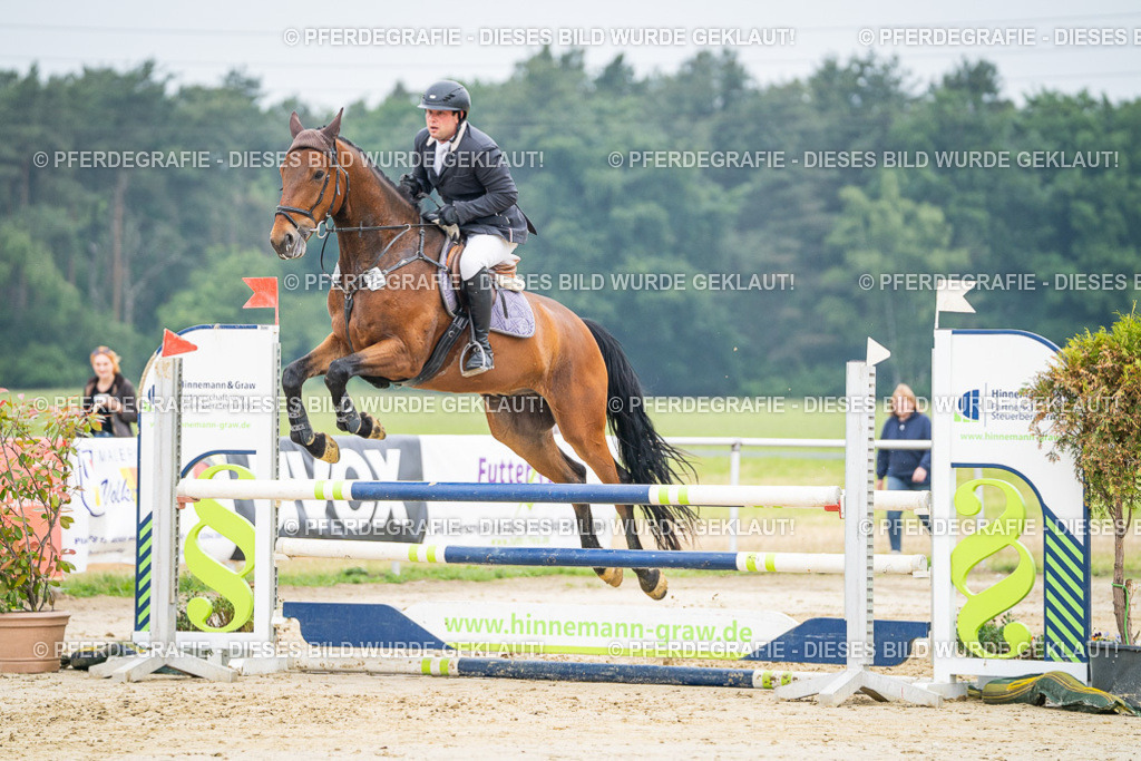 DSC00353 | Pferdegrafie