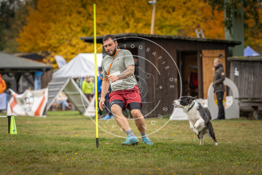 Pfotenfotografie_DV3A4933 | Hundefotografie, Tierfotograf, Pfotenfotografie, Fotoshooting Hund, Hunde Portrait, Hundesport, Hundeportraits, Heideshooting, Hunde, Sportfotograf, Hundefotograf, Turnierhundsport, THS,  - Realisiert mit Pictrs.com