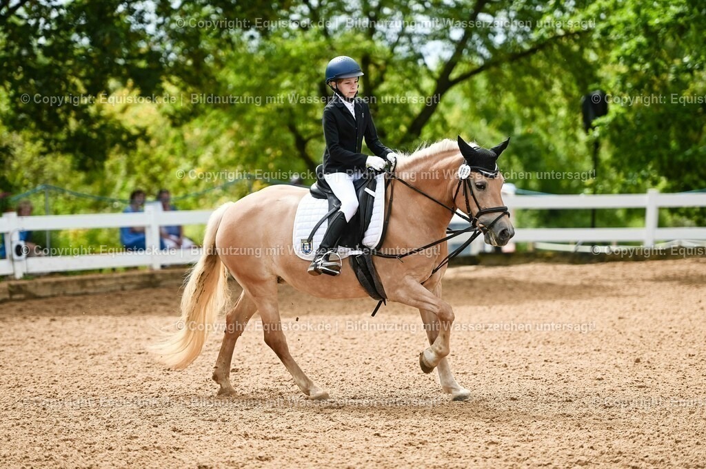 20230716_10-2_Reiter-WB Schritt - Trab - Galopp_0034 | equistock