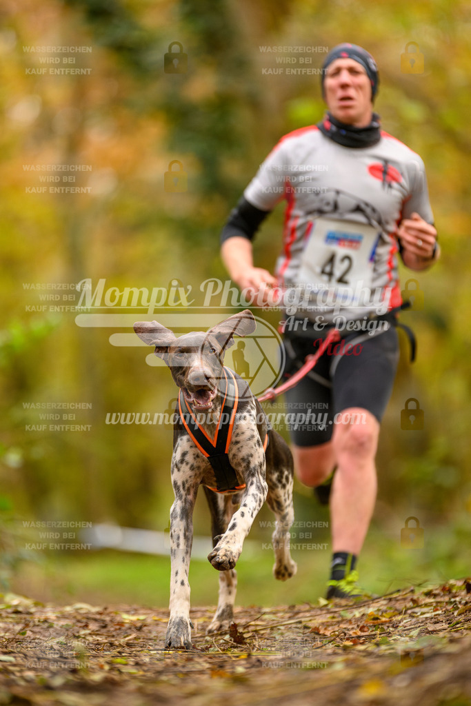 MompixPhotography_Bischwiller24_SA_Canicross-31 | PayLife
