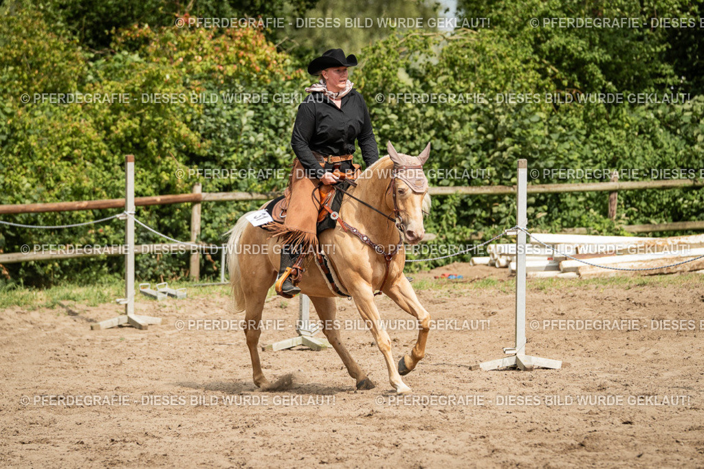 DSC03529 | Pferdegrafie