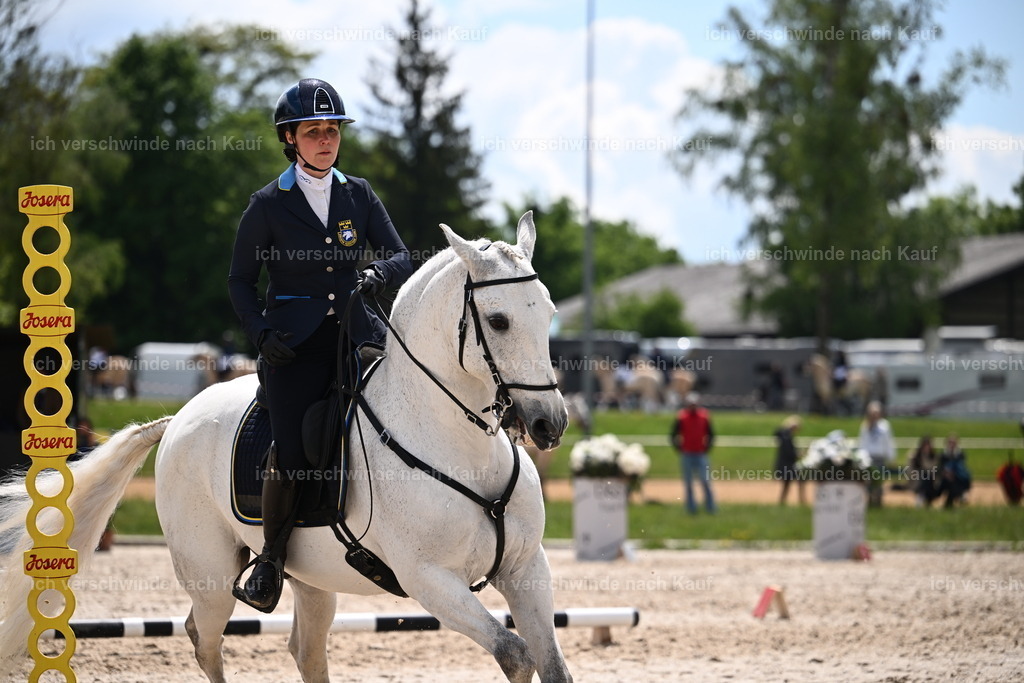 PI26_SP_Sara_Landvogt_226_5865.JPG | working equitationturnier fotograf videograf stoibphotography marixx film working equitation deutschland reitsport turnierfotografie eventfotografie equestrian events