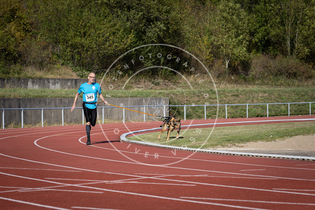 Pfotenfotografie_DV3A8581 | Hundefotografie, Tierfotograf, Pfotenfotografie, Fotoshooting Hund, Hunde Portrait, Hundesport, Hundeportraits, Heideshooting, Hunde, Sportfotograf, Hundefotograf, Turnierhundsport, THS,  - Realisiert mit Pictrs.com