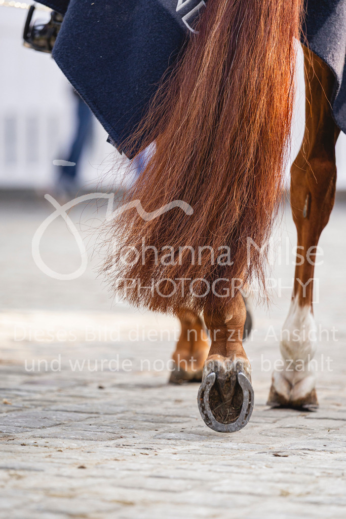 260411_Kronberg_Impressionen-205 | Deine schönsten Turniermomente als professionelle Fotos! Entdecke hochwertige Pferdesport-Fotografie im Online-Shop. Jetzt Fotos finden & bestellen!