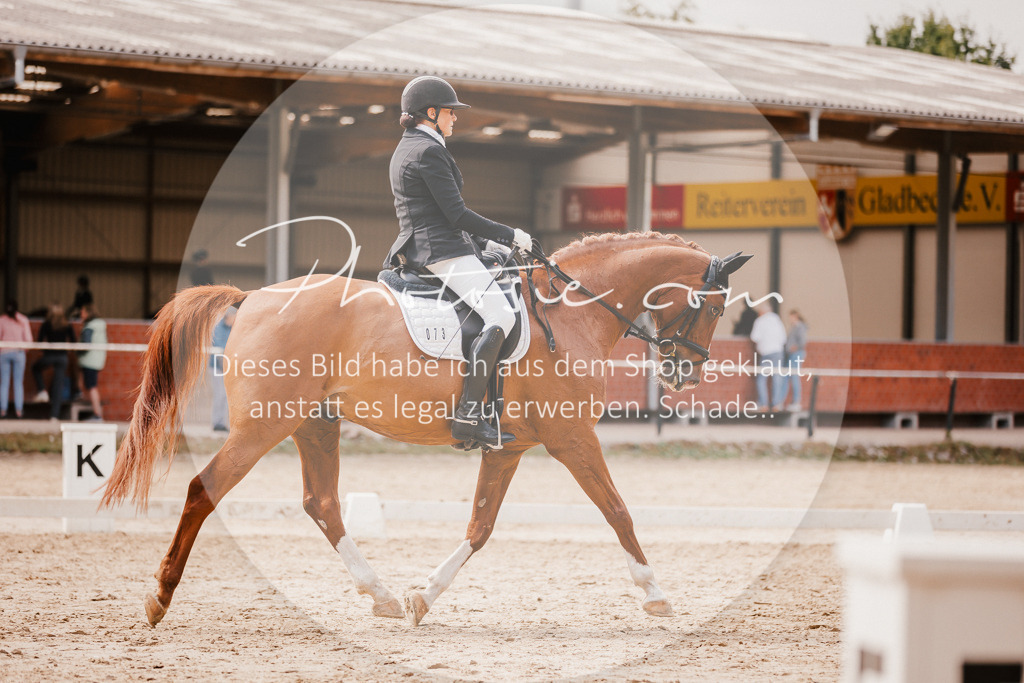 3I6A6024 | Stimmungsvolle Portraits und Reitsportfotografie im Ruhrgebiet und im Münsterland.

Pferdefotografie, Hundefotografie, Tierfotografie, Reportagen, Portraits von Tier und Mensch, Turnierfotografie in Bochum, Recklinghausen, Marl, Haltern am See, Dülmen.. - Realisiert mit Pictrs.com