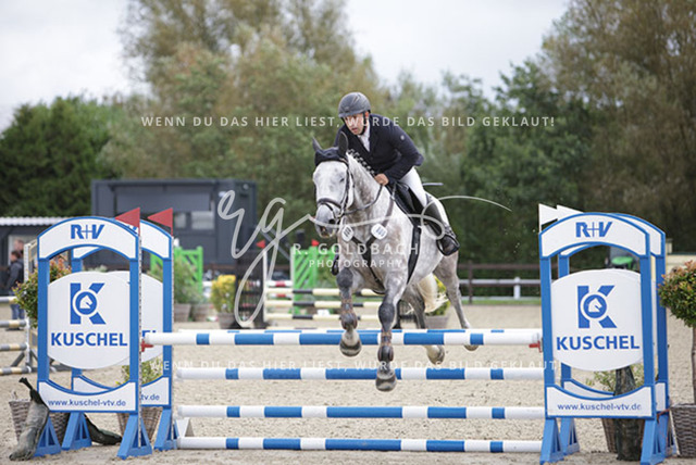 1J2A0695Timo Schramm_ Nordsee N_ Kn800_ Havekost | Foto- und Videografie für alles rund ums Pferd. Hochwertige Bilder und Videos vom Spring- und Dressurreiten, Voltigieren & mehr. Jetzt aktuelle Veranstaltungen und Preise im Shop ansehen. - Realisiert mit Pictrs.com
