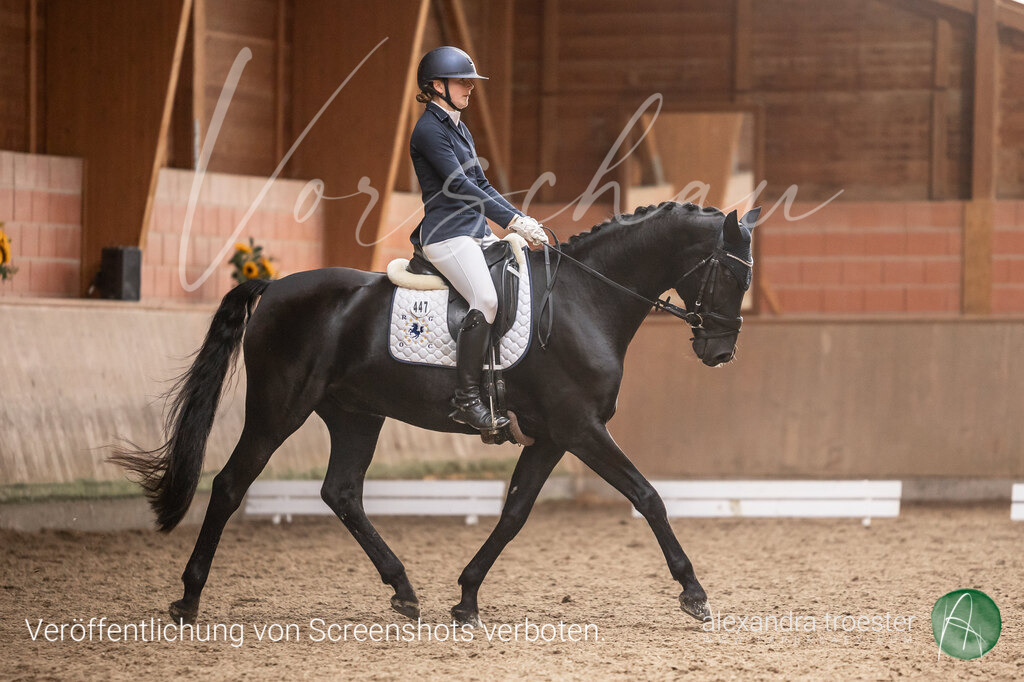 250914_Barop_36_487 | Farbklaex - Turnierfotografie - Realisiert mit Pictrs.com