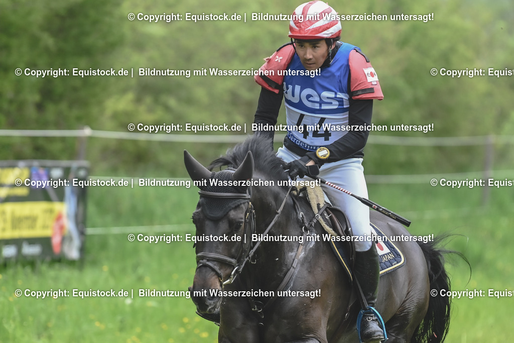 20230513_CCI4_Gelände_0563 | equistock
