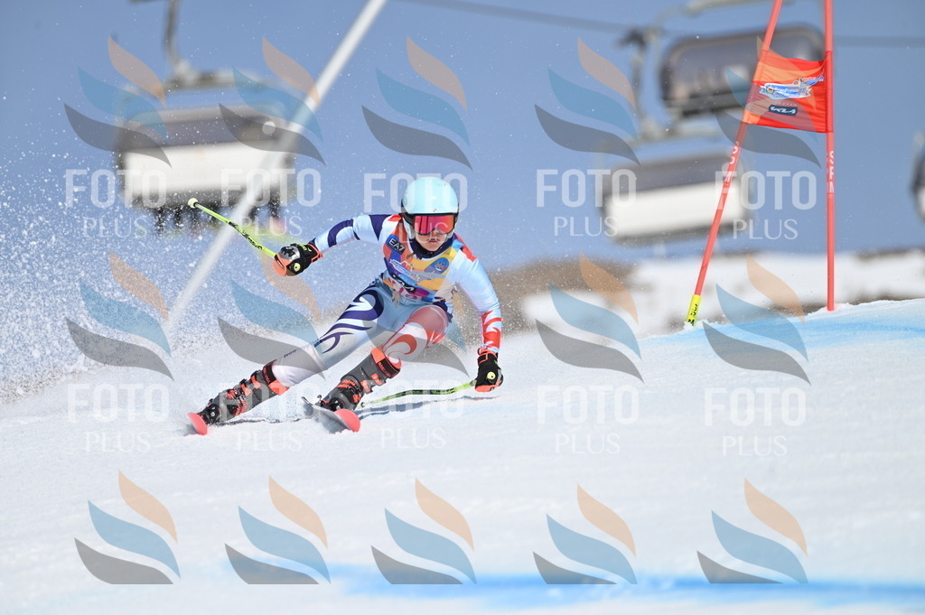 BGV_9784 | holidayphoto