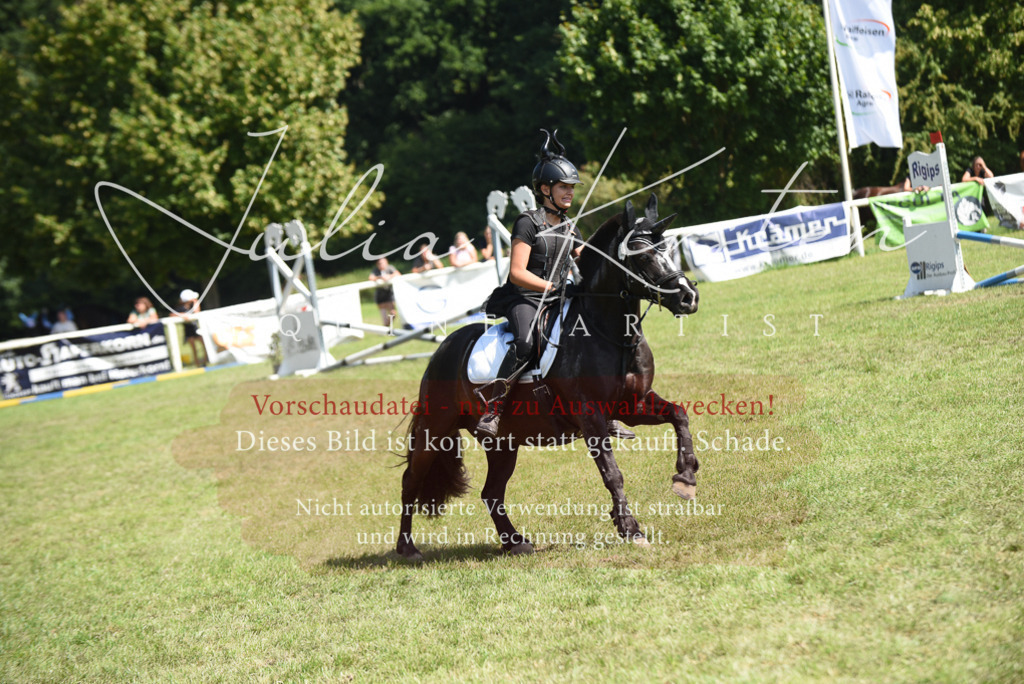 DSC_0360 | Pferde- und Turnierfotografie in Westsachsen. Pferdeportraits, Auftragszeichnungen und intuitive Kunst.