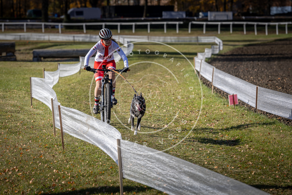 CaniXpix_DV3A7374 | Hundefotografie, Tierfotograf, Pfotenfotografie, Fotoshooting Hund, Hunde Portrait, Hundesport, Hundeportraits, Heideshooting, Hunde, Sportfotograf, Hundefotograf, Turnierhundsport, THS,  - Realisiert mit Pictrs.com