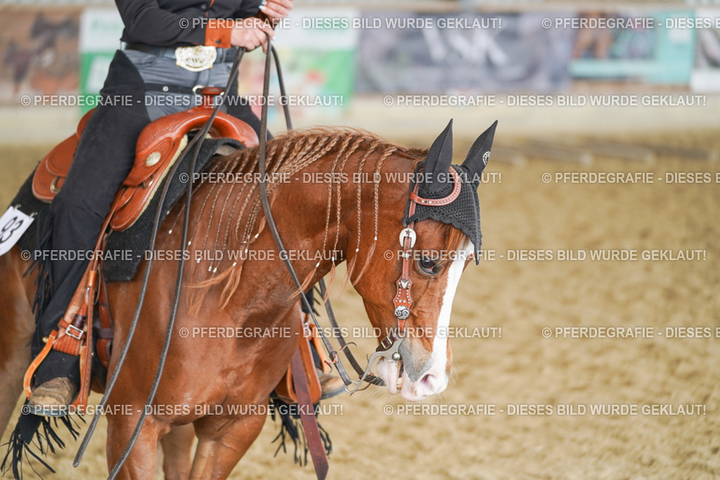 DSC02033 | Pferdegrafie