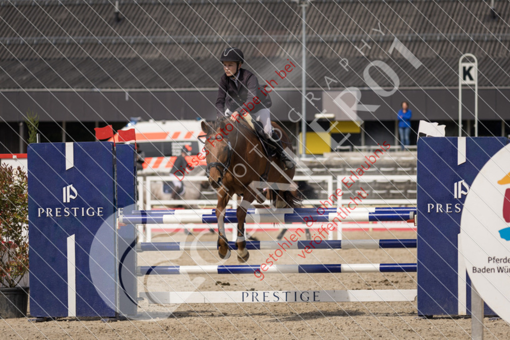 IMG_4840 | Sport-, Event- und Tierfotos in Profiqualität. Einfach auswählen, bestellen und herunterladen. Dein Moment – perfekt festgehalten.