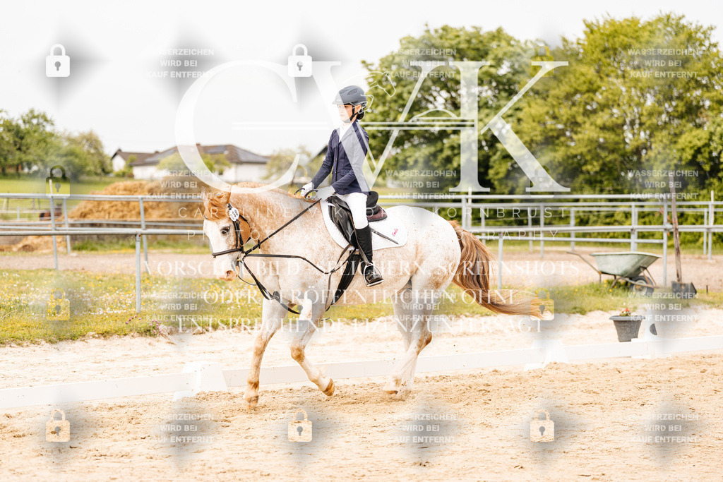 CK904378 | Turnierfotografie Pferdefotografie Trier Rheinland-Pfalz Pferdesport Reitsport Tierfotografie Sportfotografie Pferdevideo Pferdevideografie Equestrianvideography equestrianphotography  - Realisiert mit Pictrs.com