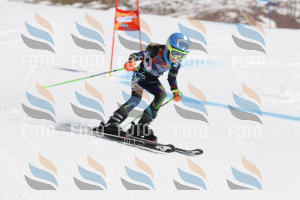 _U3G0279 | holidayphoto