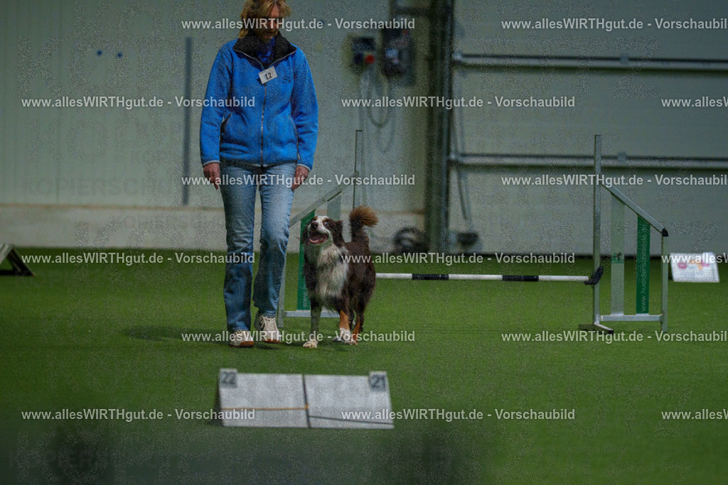 7R505116 | Professionelle Tierfotografie in Mönchengladbach von Daniel Wirth (allesWIRTHgut). Liebevolle & natürliche Bilder von Hunden & Katzen für unvergessliche Erinnerungen.