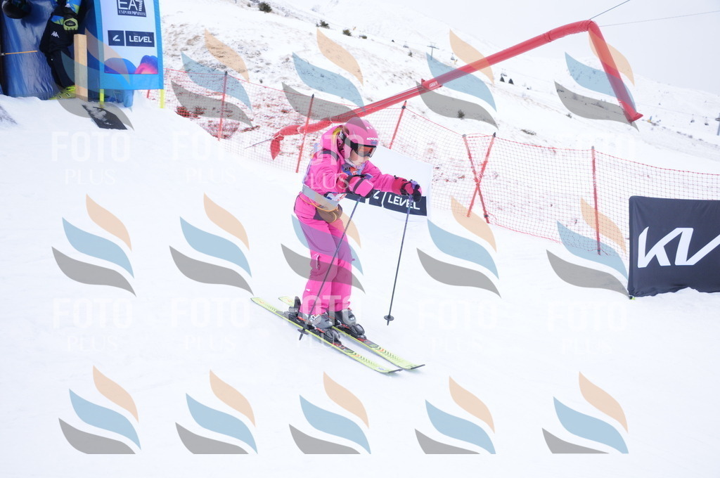 DSC_8312 | holidayphoto