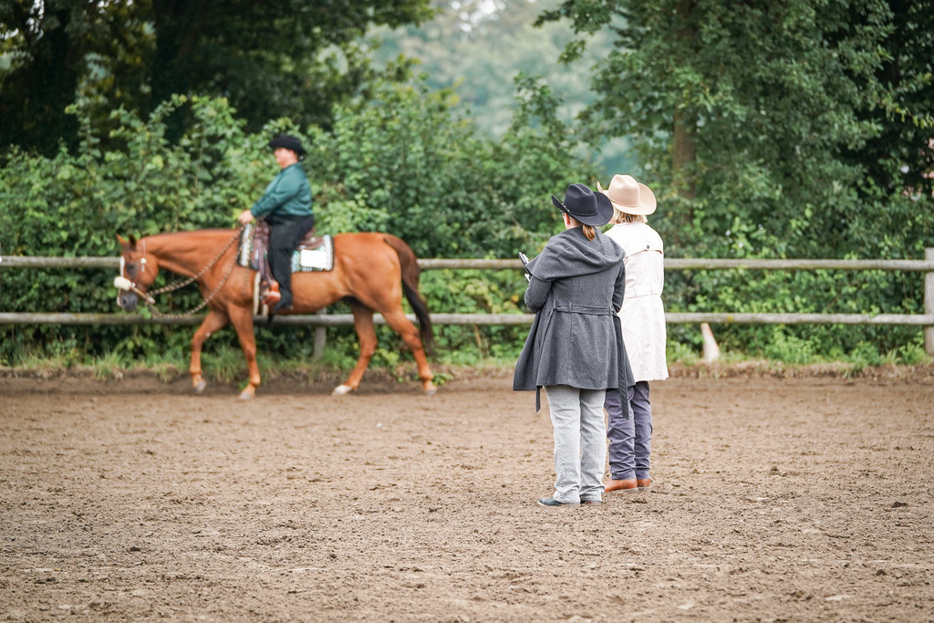 DSC01730 | Pferdegrafie