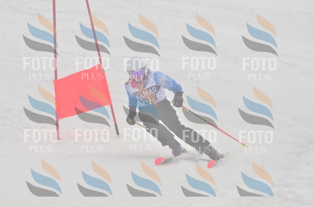 A5606 | holidayphoto