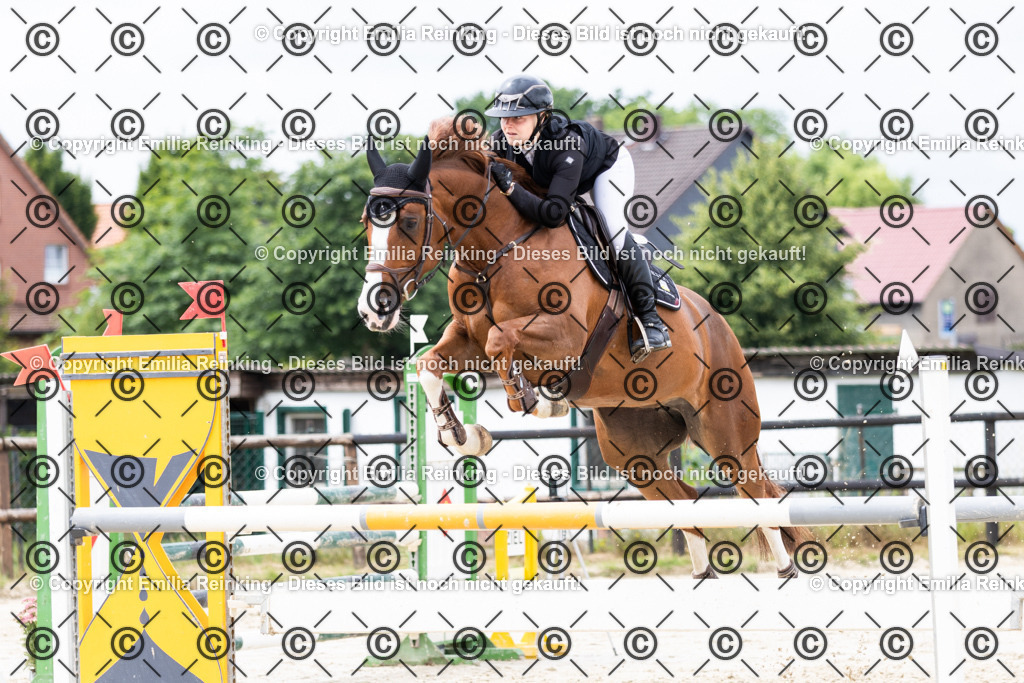 CL5A5446 | Emilia Reinking Fotografie - Realisiert mit Pictrs.com