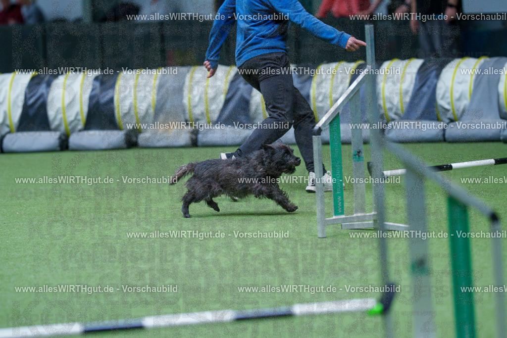 @allesWIRTHgut_Tierfotografie - www.allesWIRTHgut.de - 2604251127-7R500704 | Professionelle Tierfotografie in Mönchengladbach von Daniel Wirth (allesWIRTHgut). Liebevolle & natürliche Bilder von Hunden & Katzen für unvergessliche Erinnerungen.