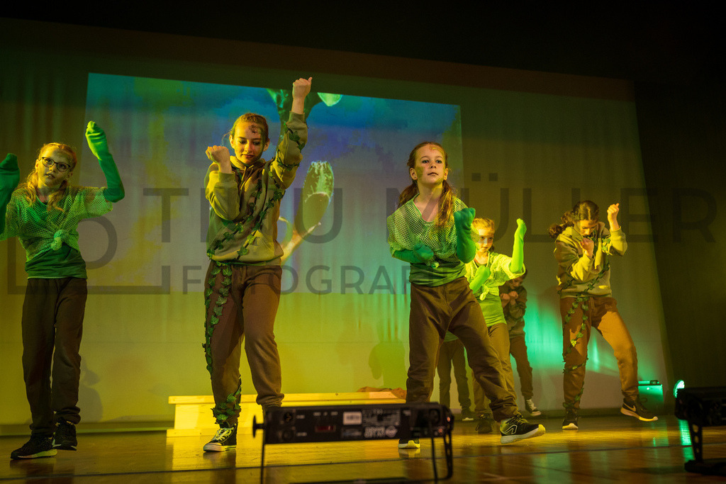 DSC06204 | Tinu Müller Fotografie- Bildershop - Realisiert mit Pictrs.com