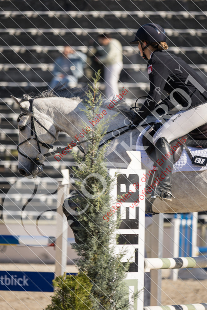 IMG_2978 | Sport-, Event- und Tierfotos in Profiqualität. Einfach auswählen, bestellen und herunterladen. Dein Moment – perfekt festgehalten.