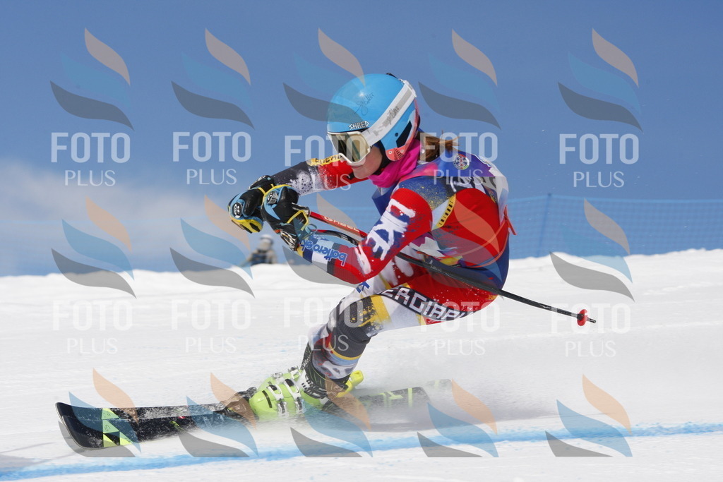 _W1G0842 | holidayphoto