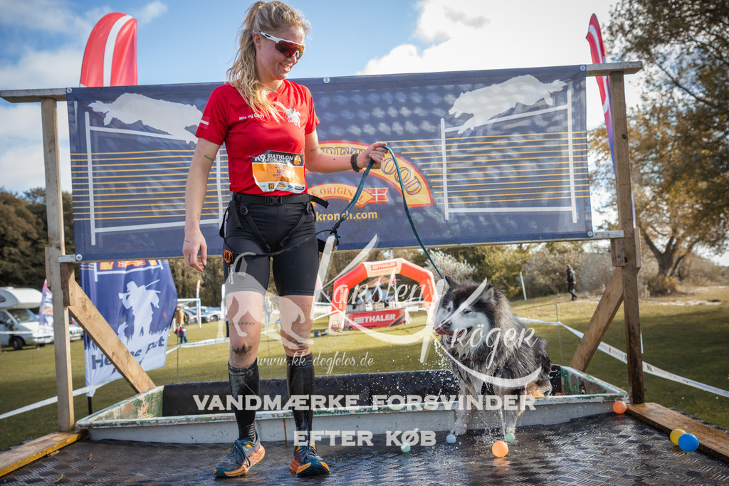 1311_ZZ99616-2 | kk-dogfotos