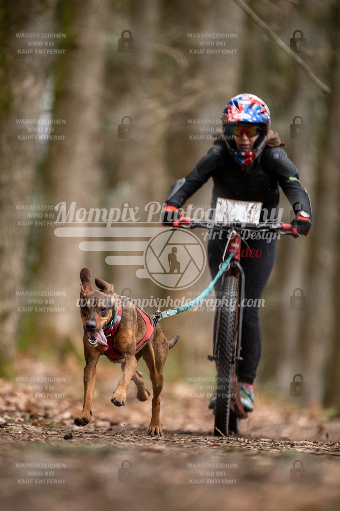 SPA_2023_DIM_Scooter-46 | PayLife