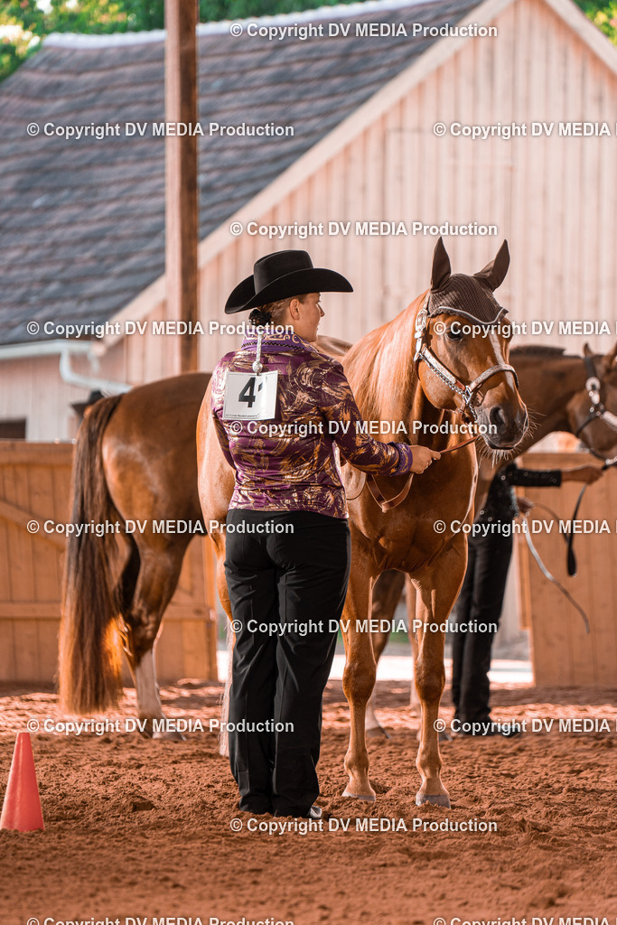 NE100092 | dv-media-shop - Realisiert mit Pictrs.com