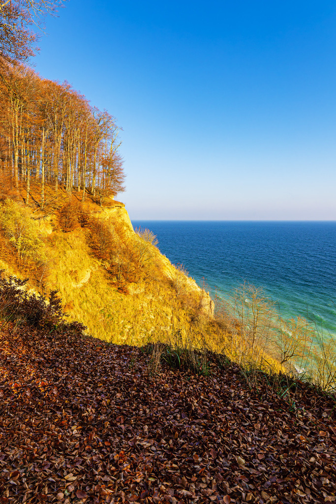 Kreidefelsen im Herbst an der Küste der Ostsee auf der Insel Rügen | Kreidefelsen im Herbst an der Küste der Ostsee auf der Insel Rügen.