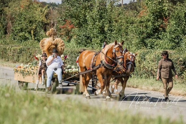 7V6A1969 | natalia-nirschl-photography