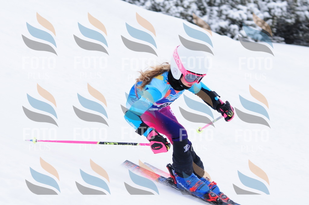 C2698 | holidayphoto