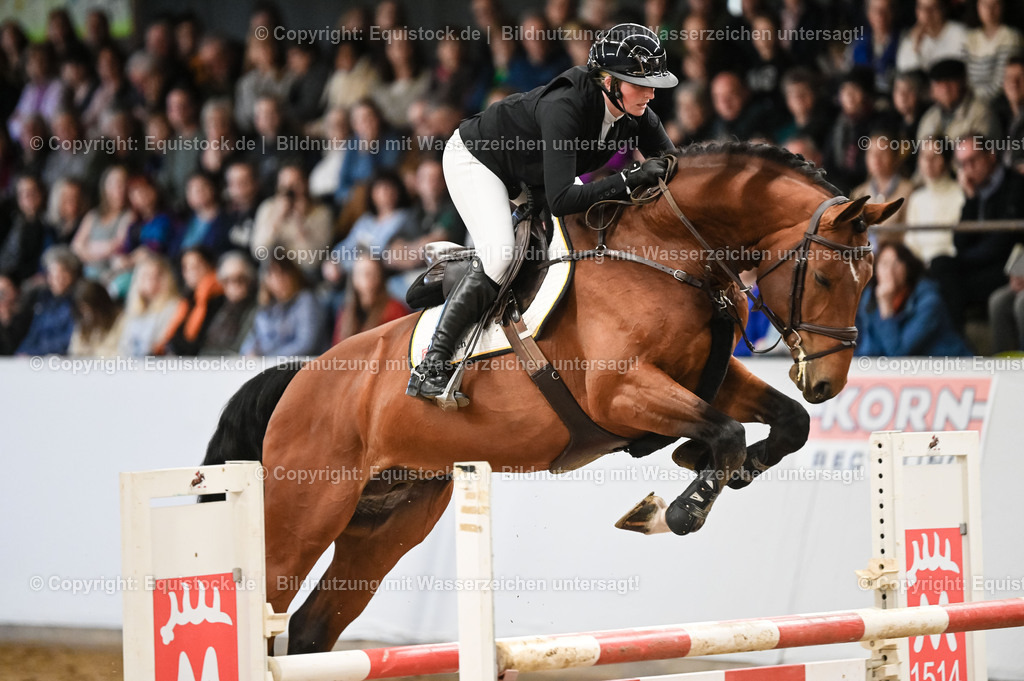 20260307_Hengstvorstellung-Marbach_0047 | equistock