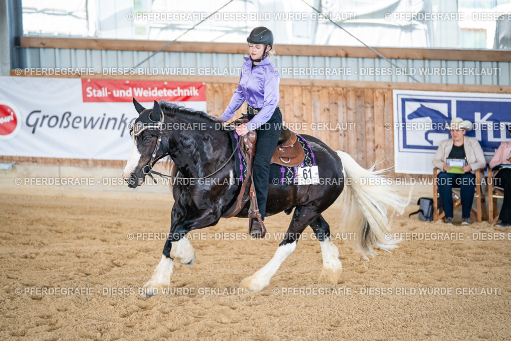 DSC03253 | Pferdegrafie