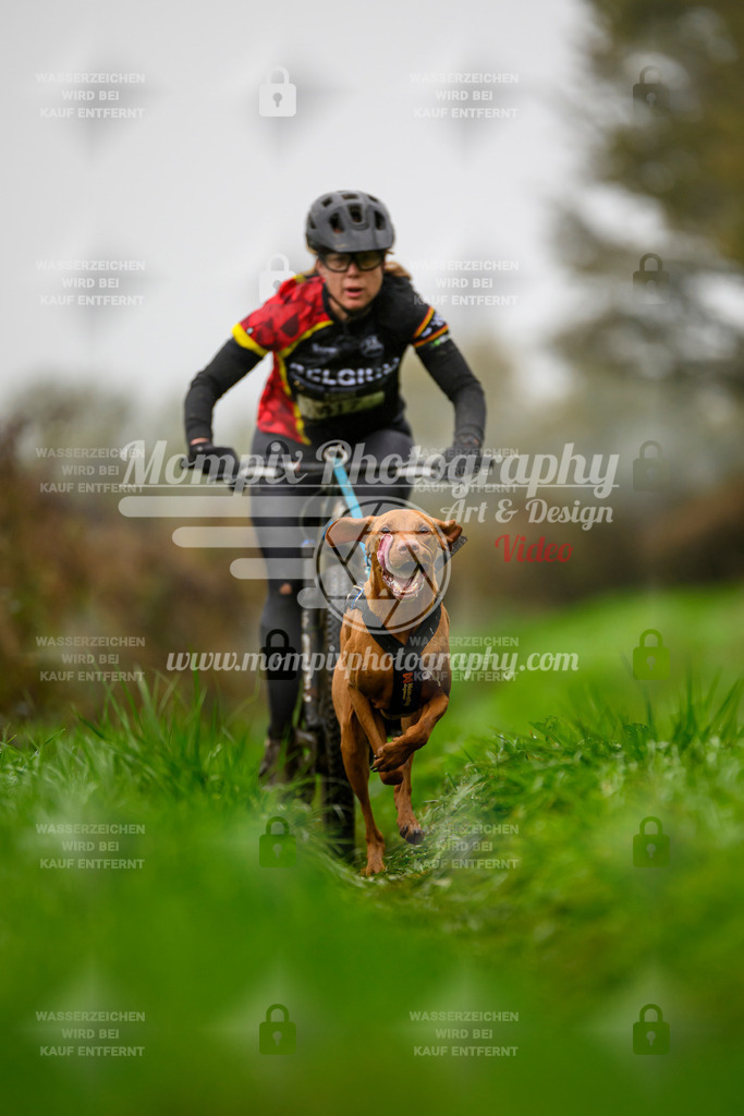 MompixPhotography_20TSB_E8_Bike-73 | PayLife