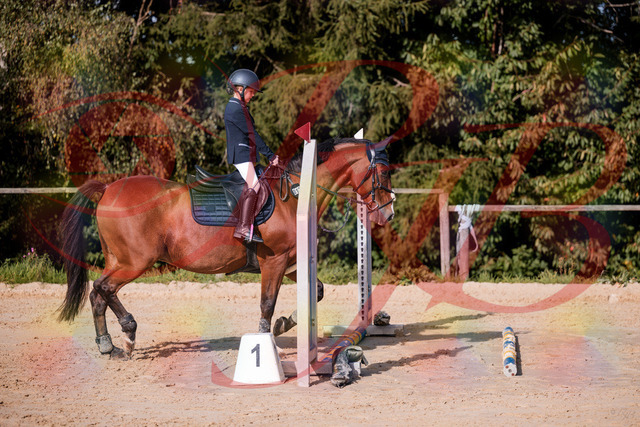 2026_10_03_Siefer-Hof_143733_Z81_06192696 | Professionelle Reitsport-, Turnier- und Eventfotografie von Robert Broda. Galerien mit ausgewählten und bearbeiteten Bildern direkt online ansehen und bestellen.