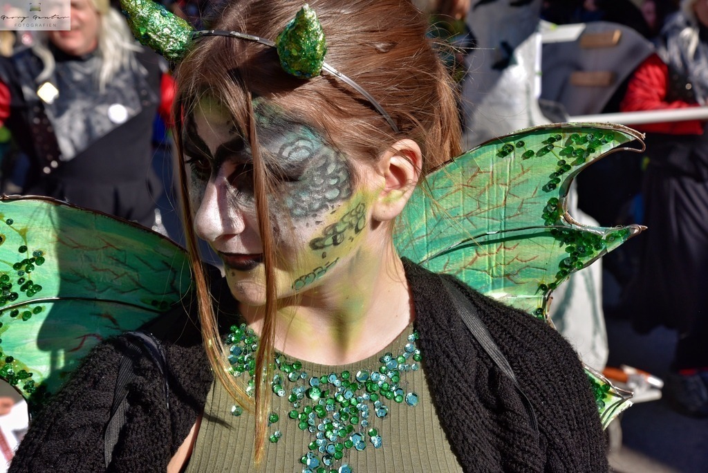 FaMoUmzug-079-RA | Fotoblog Schwarzwald, Foto Blog Wiesental, Pfaffenberg, Winterzauber, Zeller Bergland, Zell im Wiesental, Fotoblog Wiesental, Landschaftsfotos, Bilder Wiesental, Natur, Naturbilder, Fastnacht, Zeller Fastnacht, Zeller Fasnacht, Zeller Bergland, Belchen, - Realisiert mit Pictrs.com