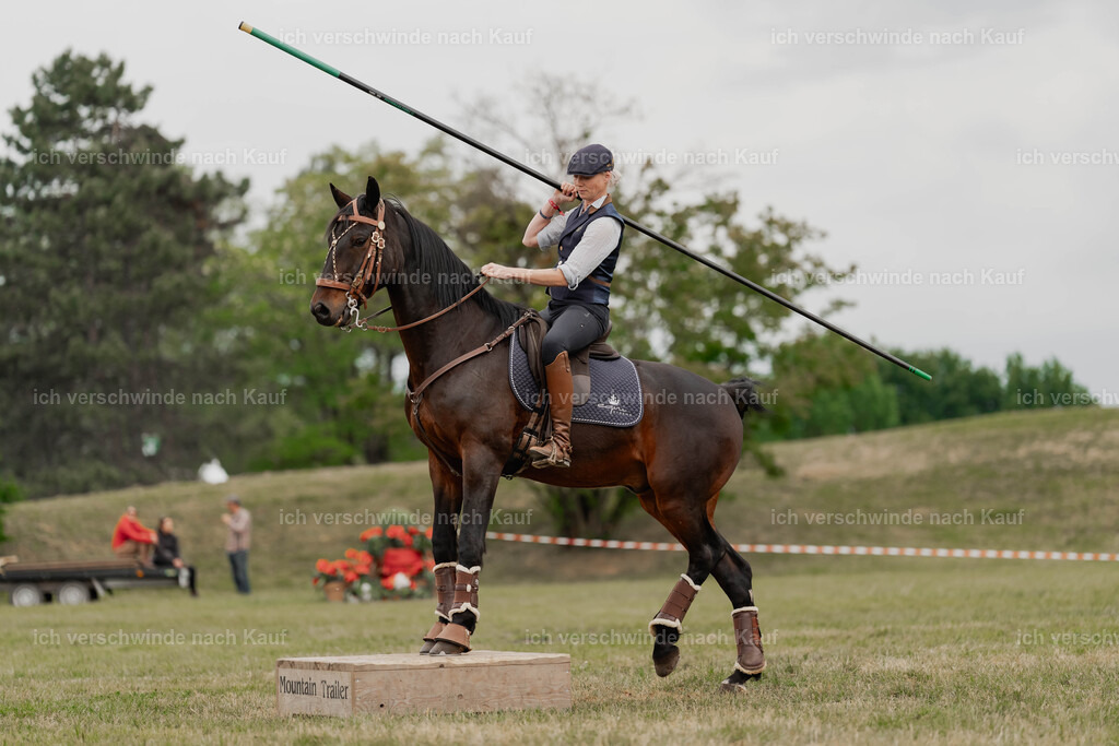 Showprogramm-459 | working equitationturnier fotograf videograf stoibphotography marixx film working equitation deutschland reitsport turnierfotografie eventfotografie equestrian events