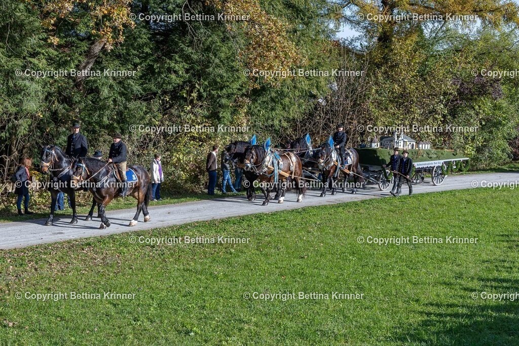 LBT24-865 | foto-bettina-krinner - Realisiert mit Pictrs.com