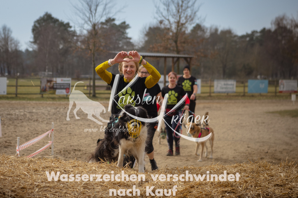 1133_ZZ94100 | kk-dogfotos