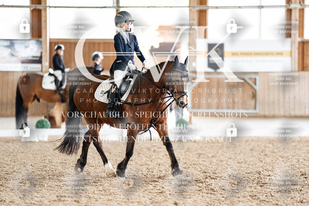 CK900687 | Turnierfotografie Pferdefotografie Trier Rheinland-Pfalz Pferdesport Reitsport Tierfotografie Sportfotografie Pferdevideo Pferdevideografie Equestrianvideography equestrianphotography  - Realisiert mit Pictrs.com